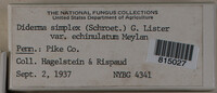 Image Associated With the Occurence
